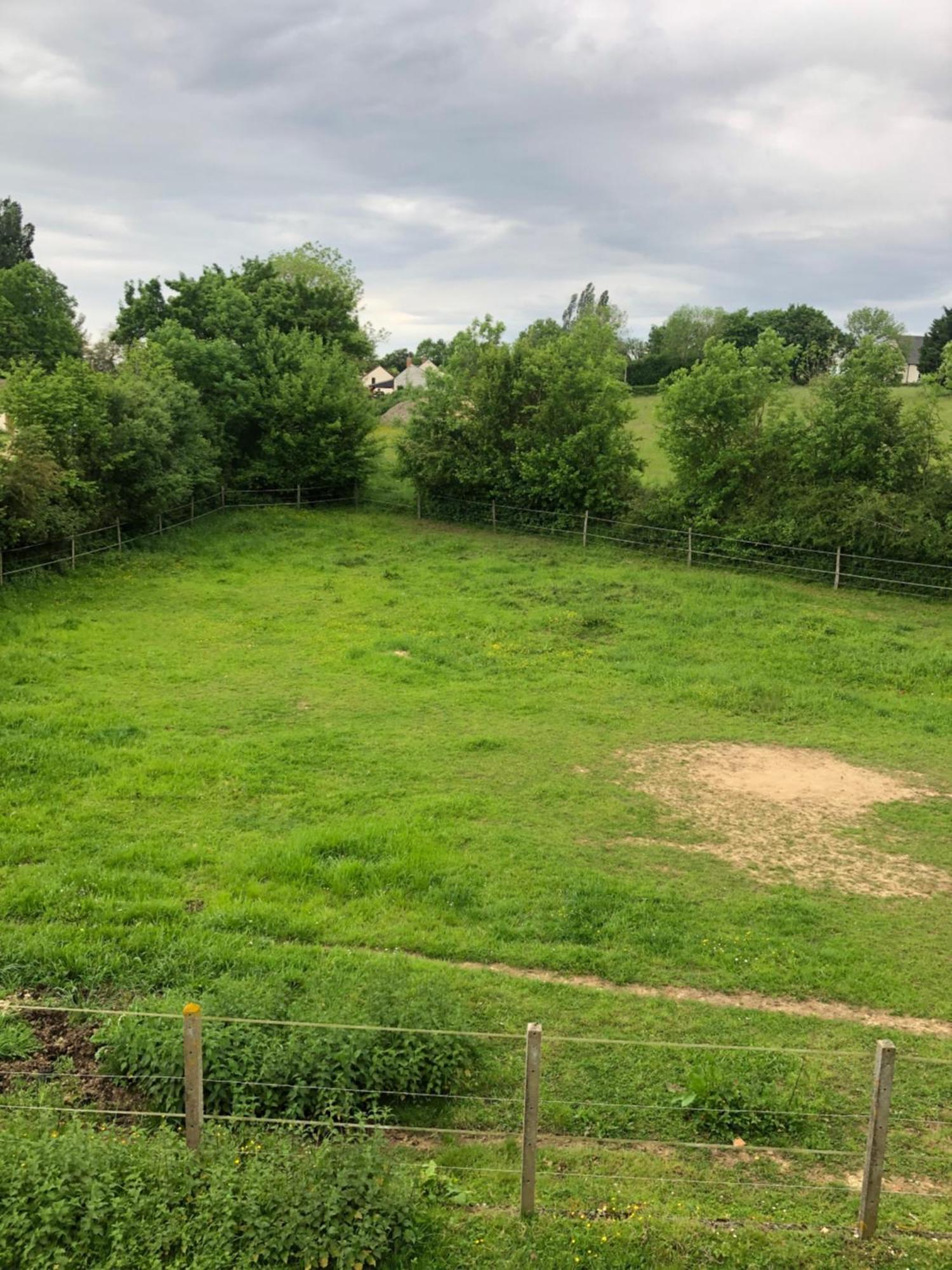 Gite Aux Anes Avec Spa Menetou-Ratel Exteriör bild