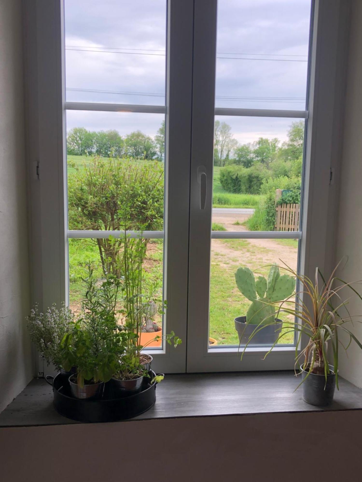 Gite Aux Anes Avec Spa Menetou-Ratel Exteriör bild
